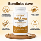 Nattokinasa Máxima Potencia 10.000 FU — Apoyo Circulatorio