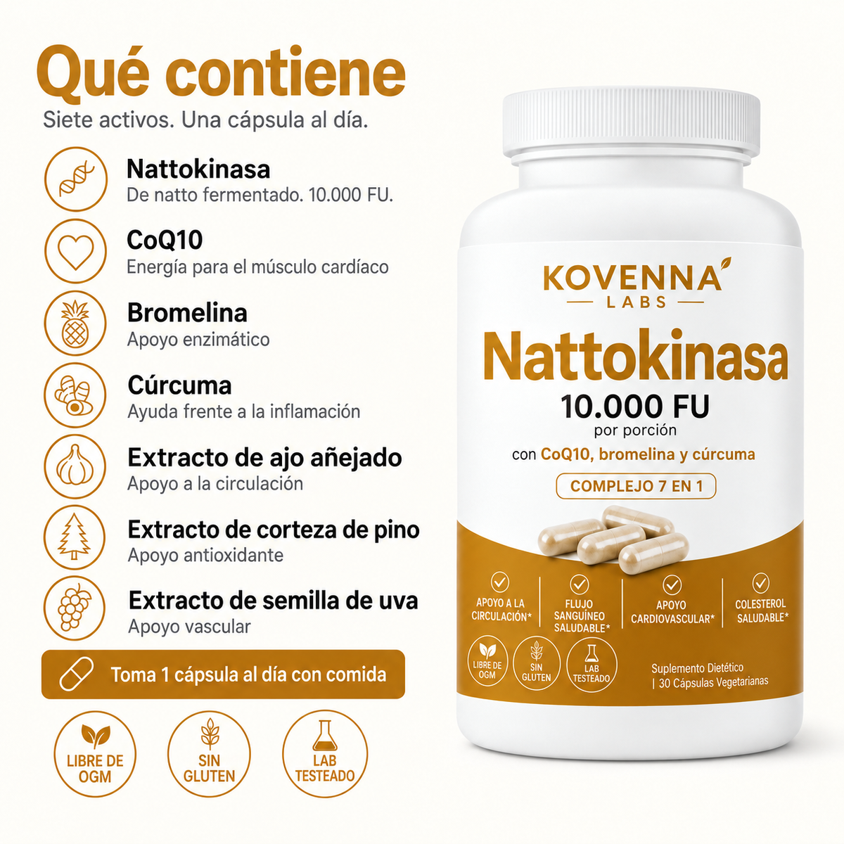 Nattokinasa Máxima Potencia 10.000 FU — Apoyo Circulatorio