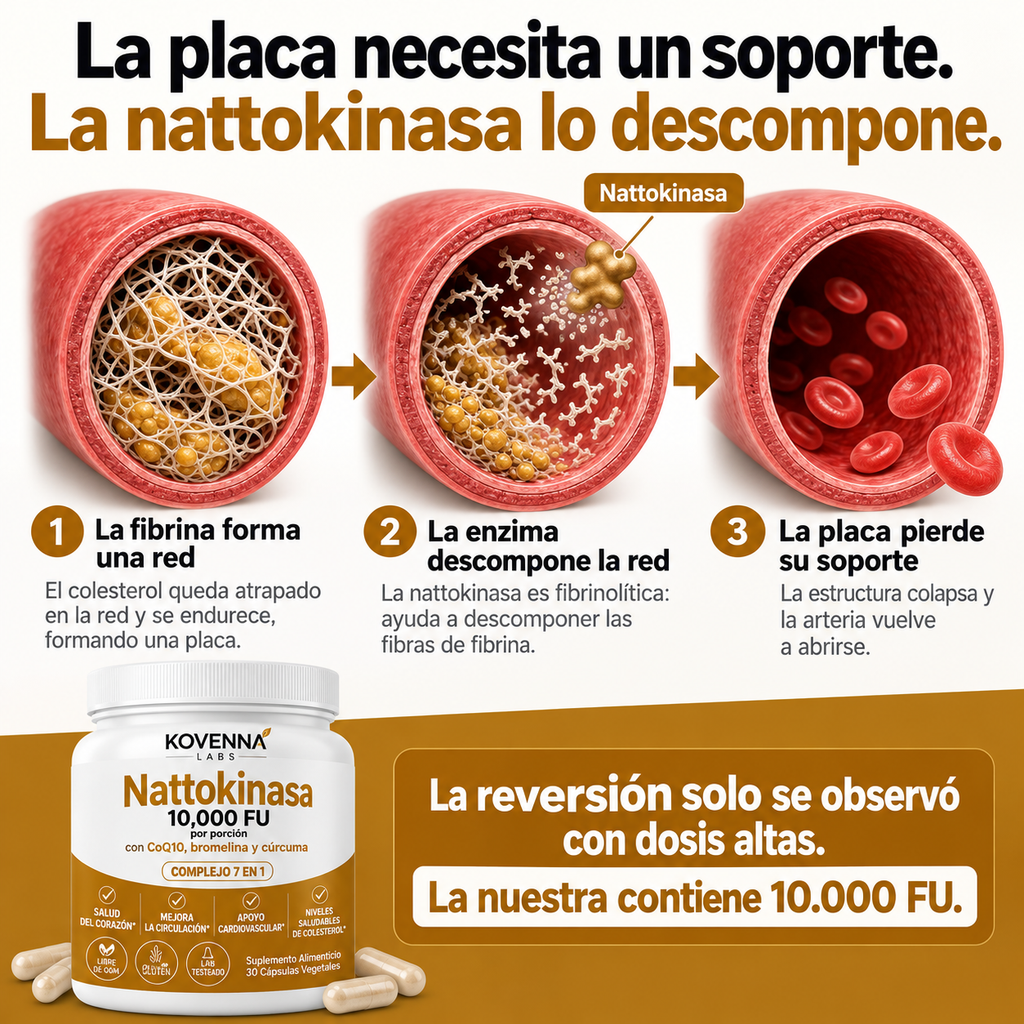 Nattokinasa Máxima Potencia 10.000 FU — Apoyo Circulatorio
