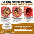 Nattokinasa Máxima Potencia 10.000 FU — Apoyo Circulatorio