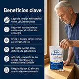 Ácido R-Alfa Lipoico 600 mg Máxima Potencia — Apoyo Nervioso